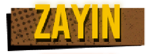 ZAYIN Icon